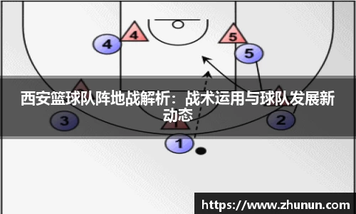 B体育bsports