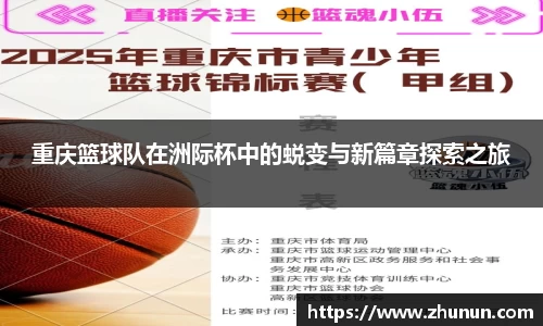B体育bsports